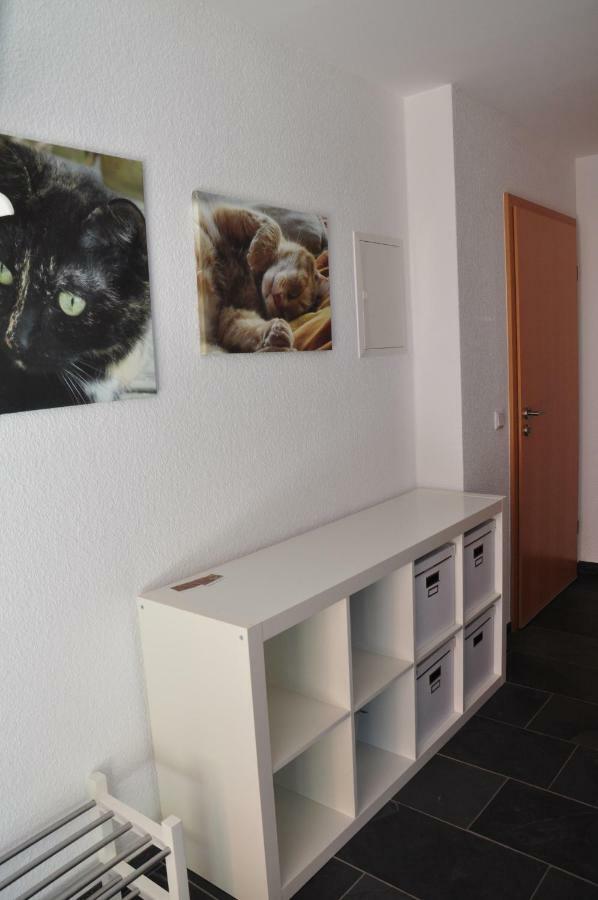 Ferienwohnung Roter Kater Am Nationalpark Eifel Bergbuir Exterior photo